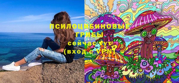 дурь Алексин