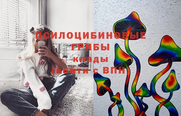 дурь Алексин