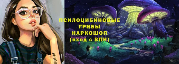 дурь Алексин