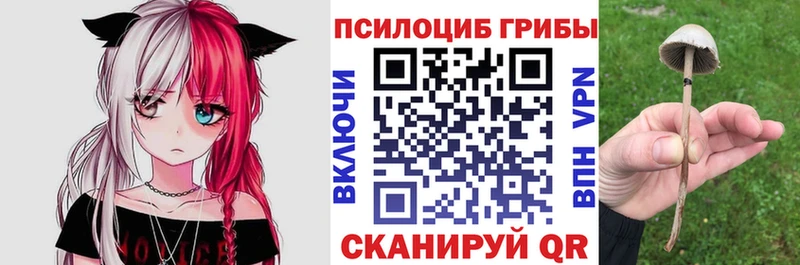 Галлюциногенные грибы Magic Shrooms Уфа